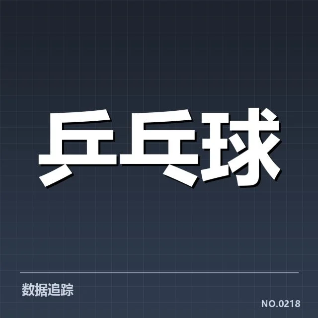 乒乓球新星赛季总结：赛场表现，乒乓球新星崛起的赛季简述